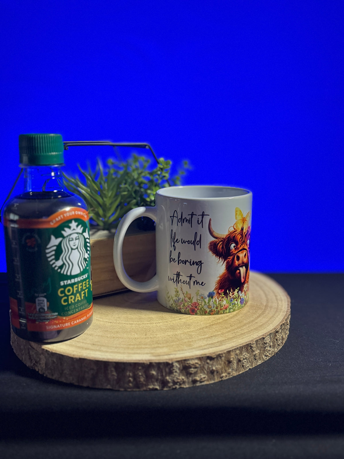 Funny Highland Cow 11oz Ceramic Mug