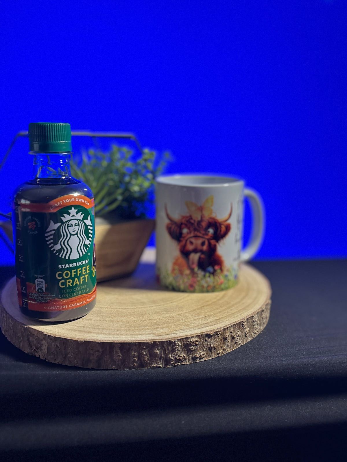 Funny Highland Cow 11oz Ceramic Mug